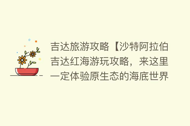 吉达旅游攻略【沙特阿拉伯吉达红海游玩攻略，来这里一定体验原生态的海底世界】