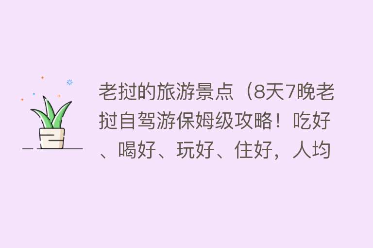 老挝的旅游景点（8天7晚老挝自驾游保姆级攻略！吃好、喝好、玩好、住好，人均6k？）