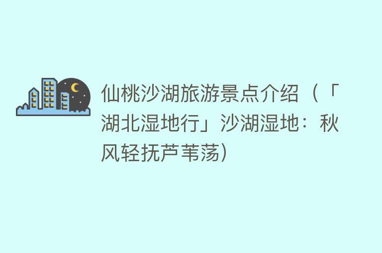 仙桃沙湖旅游景点介绍（「湖北湿地行」沙湖湿地：秋风轻抚芦苇荡）