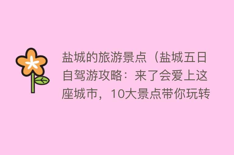 盐城的旅游景点（盐城五日自驾游攻略：来了会爱上这座城市，10大景点带你玩转盐城）