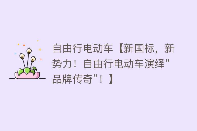 自由行电动车【新国标，新势力！自由行电动车演绎“品牌传奇”！】