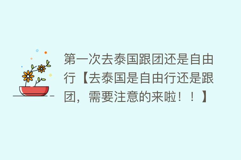 第一次去泰国跟团还是自由行【去泰国是自由行还是跟团，需要注意的来啦！！】