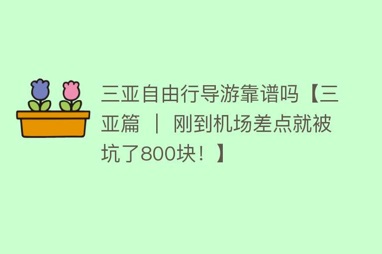 三亚自由行导游靠谱吗【三亚篇 ｜ 刚到机场差点就被坑了800块！】